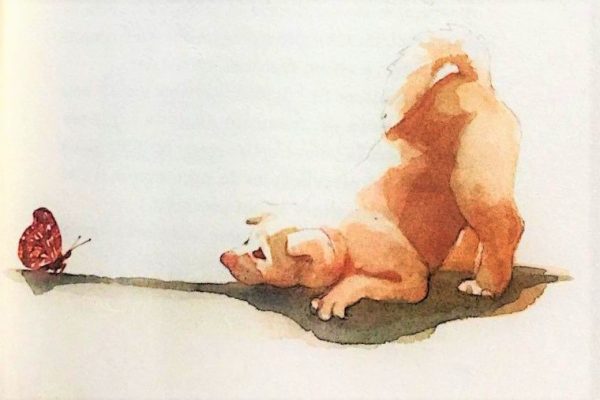 imparare tra intimità e attesa